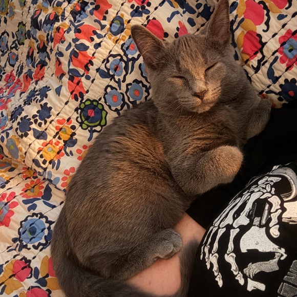 Meet the posher! - Picture 2 of 4